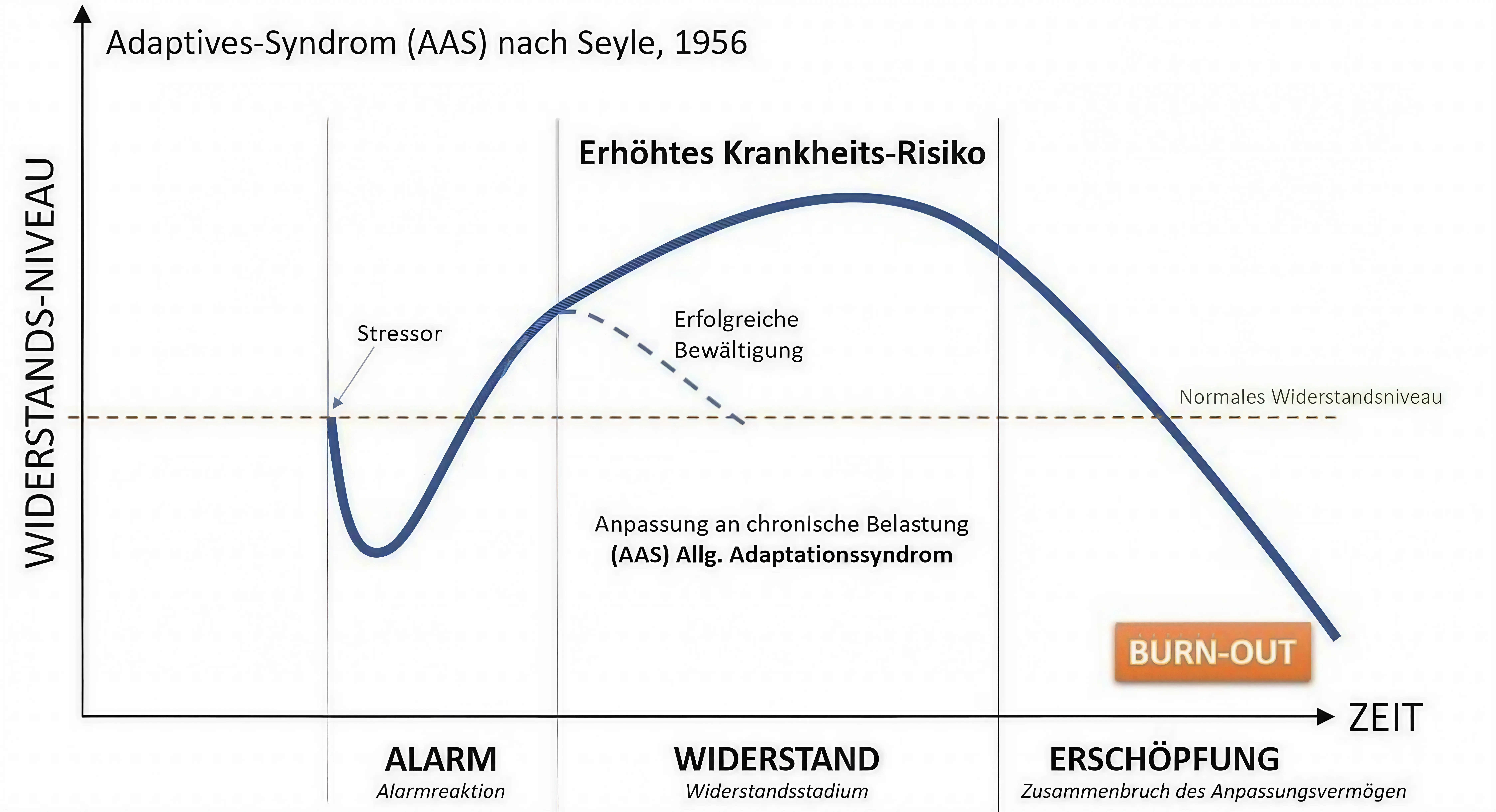 Stressmodell der Haarmineralanalyse: Mineralwert-Verlauf von Natrium, Kalium, Calcium bis zum Burnout